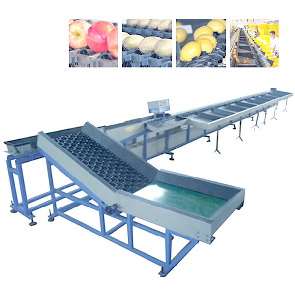 Dây Chuyền Phân Loại Sản Phẩm