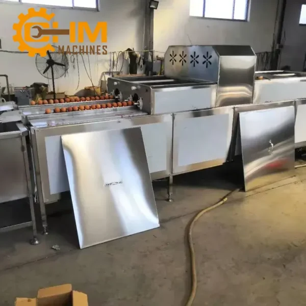 day chuyen rua va phan loai trung 3