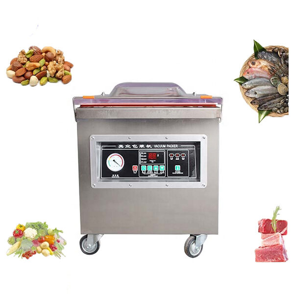 Máy Hút Chân Không DZQ-450 Buồng Sâu