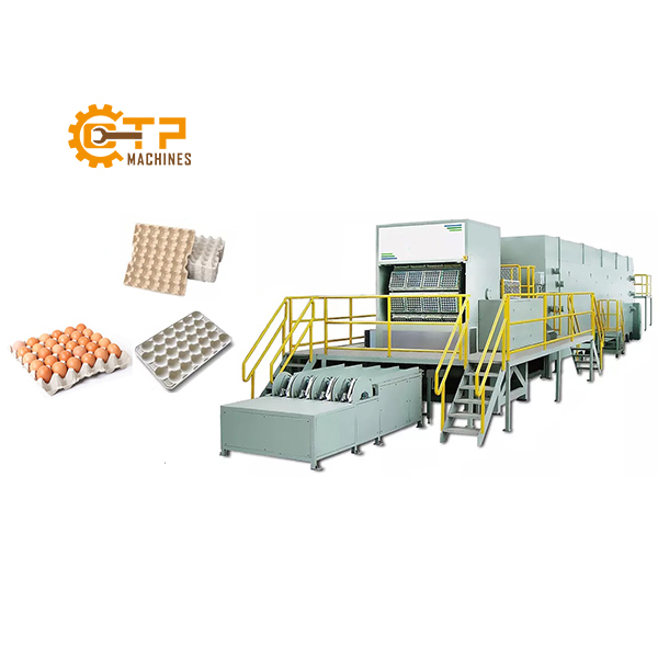Dây Chuyền Sản Xuất Khay Trứng Tái Chế Tự Động 8 Thiên Phú chuyên phân phối dây chuyền sản xuất khay trứng tái chế tự động chính hãng