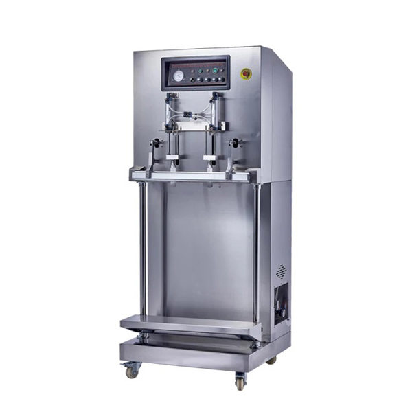 Máy Hút Chân Không Công Nghiệp DZQ 600F