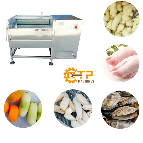 Máy Rửa Củ Nghệ Gừng 9 may rua cu nghe gung 2