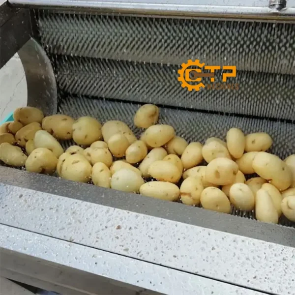 Máy Rửa Củ Nghệ Gừng 7 may rua cu nghe gung 5