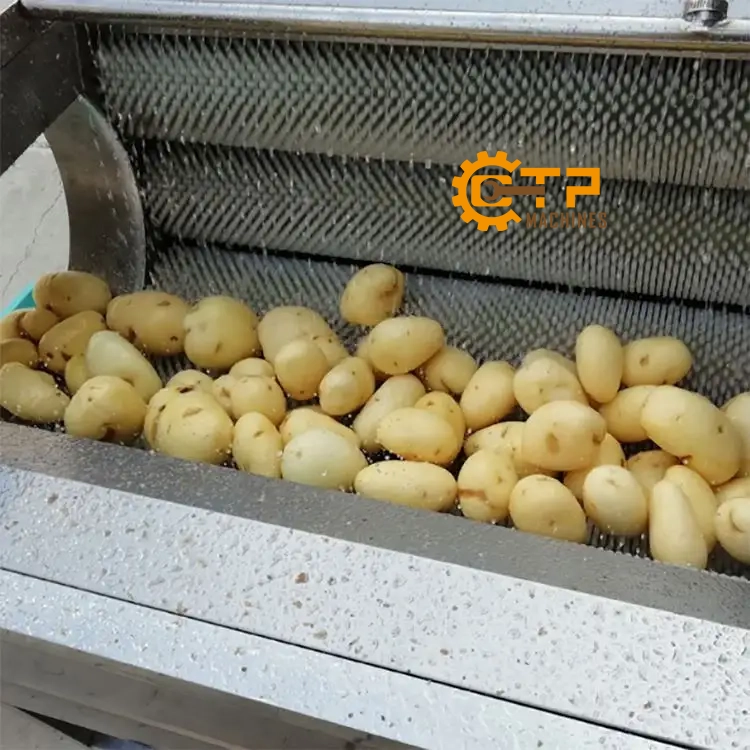 Máy Rửa Củ Nghệ Gừng 6 Thiết bị được người dùng ưa chuộng