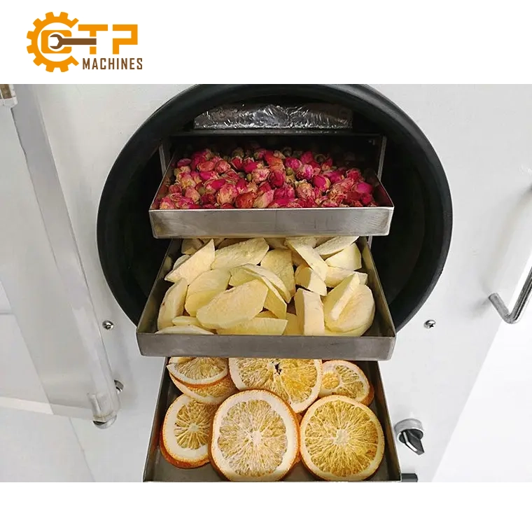 Tủ Sấy Khô Lạnh Chân Không TF-HFD-4 10 Thiên Phú chuyên phân phối tủ sấy khô lạnh chân không TF-HFD-4 chính hãng