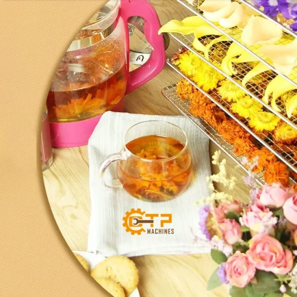 Tủ Sấy Thực Phẩm Gia Đình 6 Khay 10 tu say thuc pham gia dinh 6 khay 2