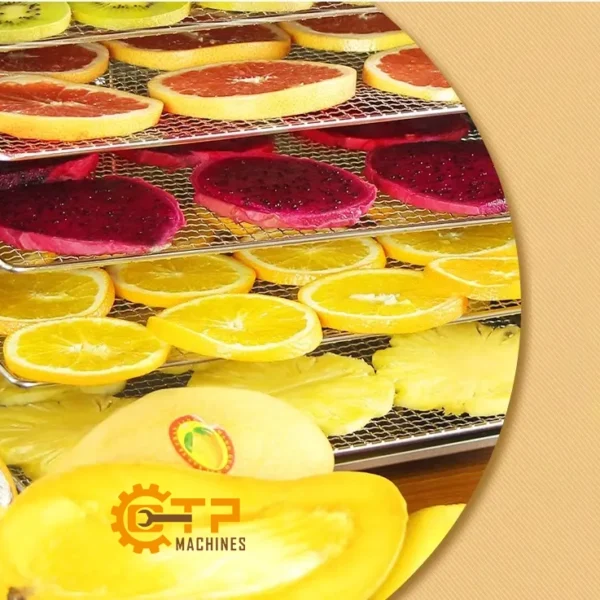 Tủ Sấy Thực Phẩm Gia Đình 6 Khay 9 tu say thuc pham gia dinh 6 khay 3